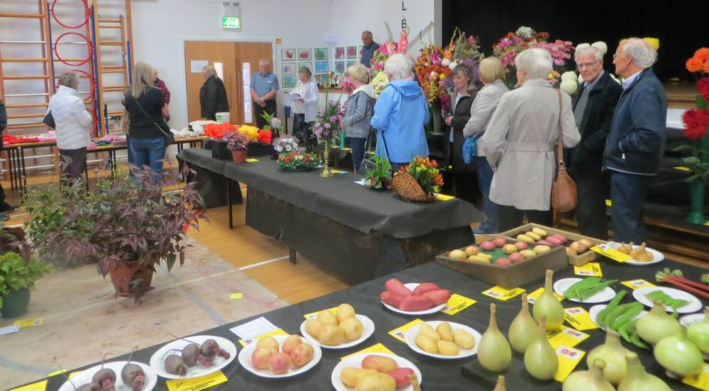 Coalburn Flower Show