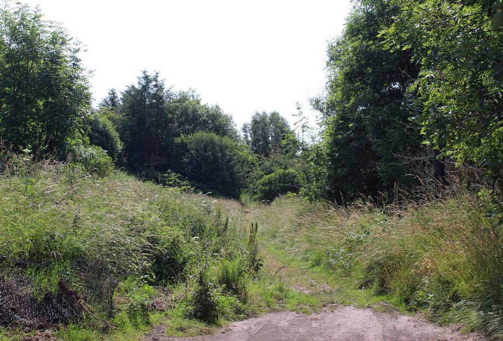The footpath from the cottages across the former railway station area to Coalburn Road