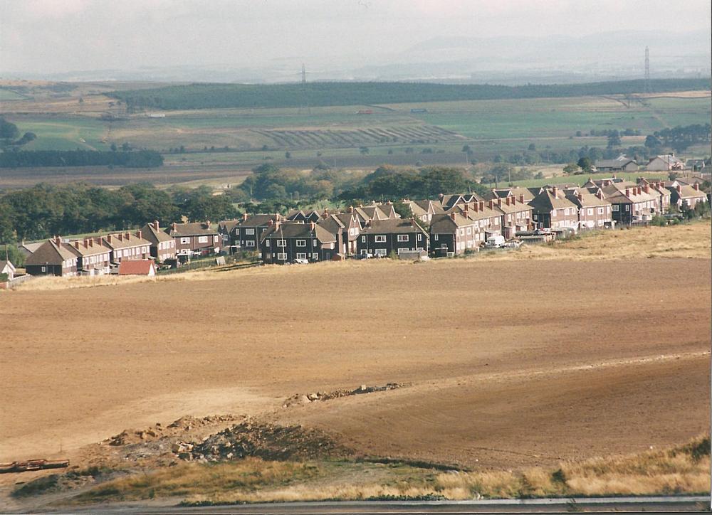 View over Timbertown