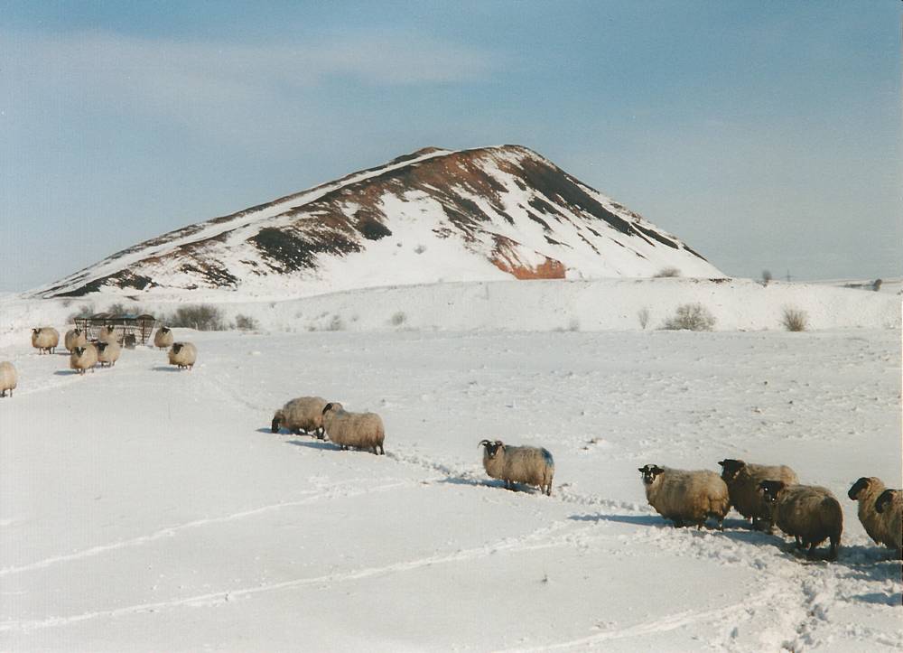 Auchlochan No. 9 bing in the snow of 1999