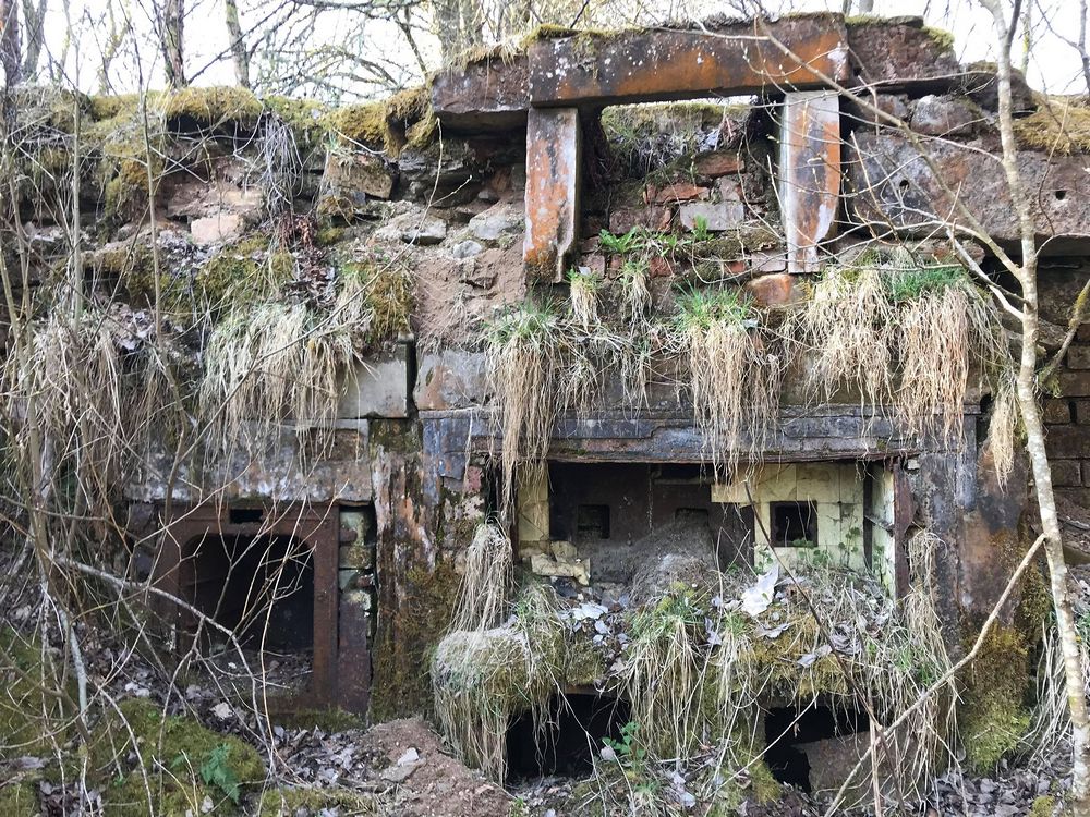 The ruins of Stockbriggs House 2021