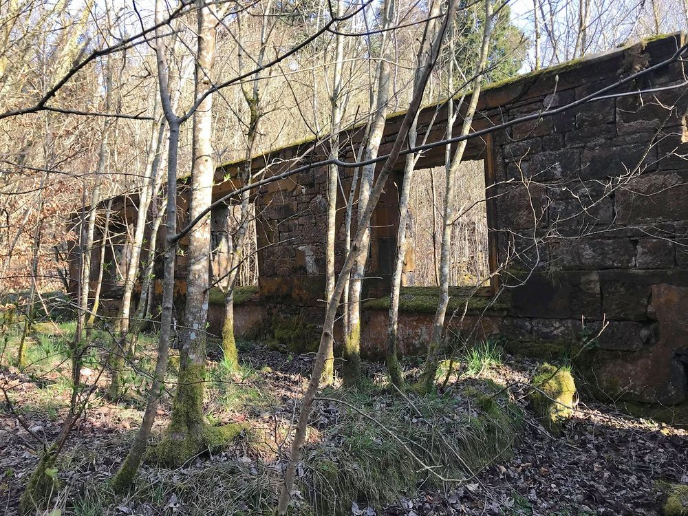 The ruins of Stockbriggs House 2021