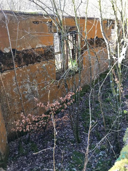 The ruins of Stockbriggs House 2021