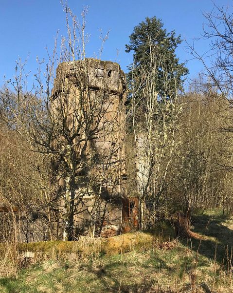 The ruins of Stockbriggs House 2021